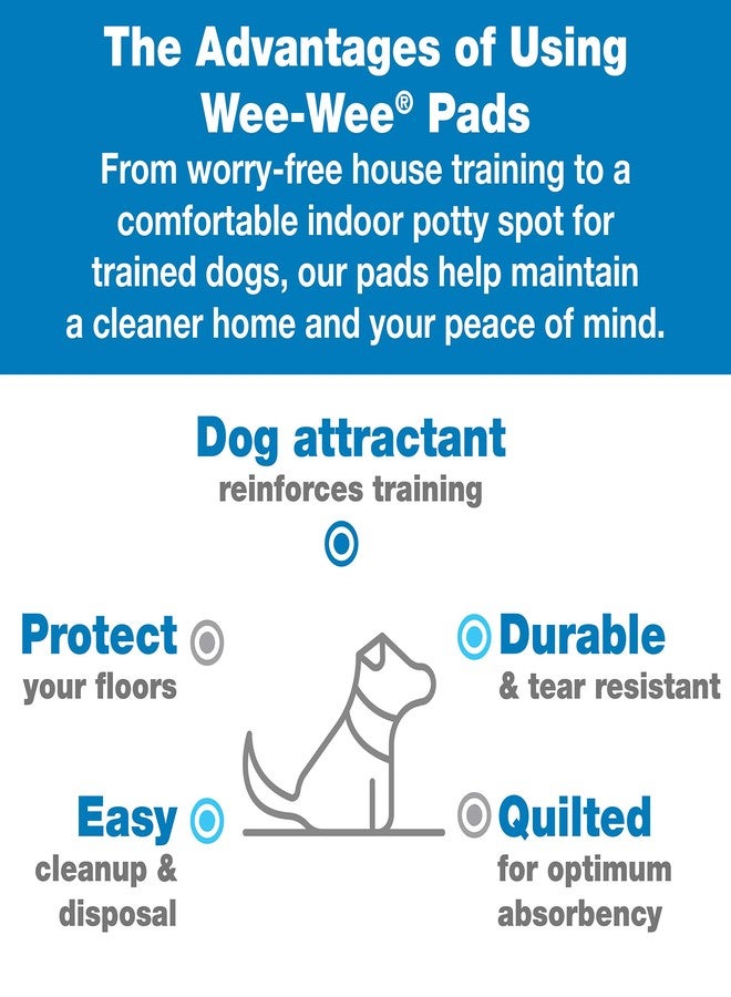 Four Paws Wee-Wee Super Absorbent Dog Housebreaking Pads, 10 Ct - Image 2
